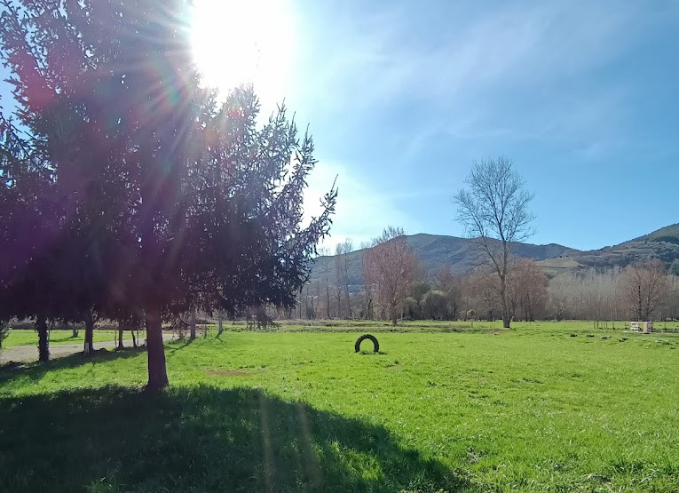 camping vilela copia