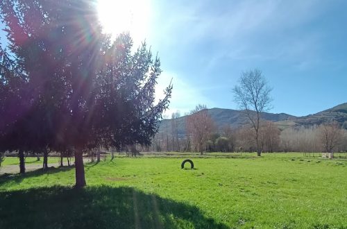 camping vilela copia